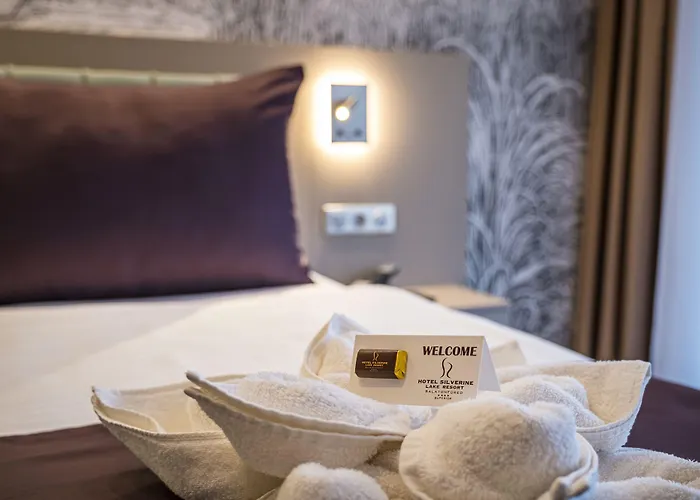 Hotel Golden Balatonfured